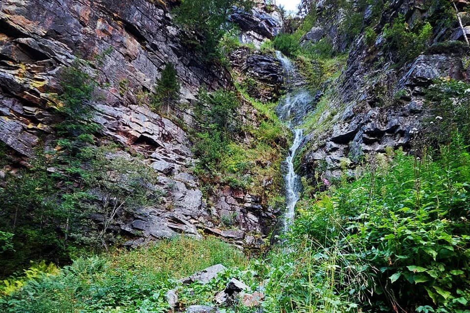 Camping Nederhögen Vildmarkscenter