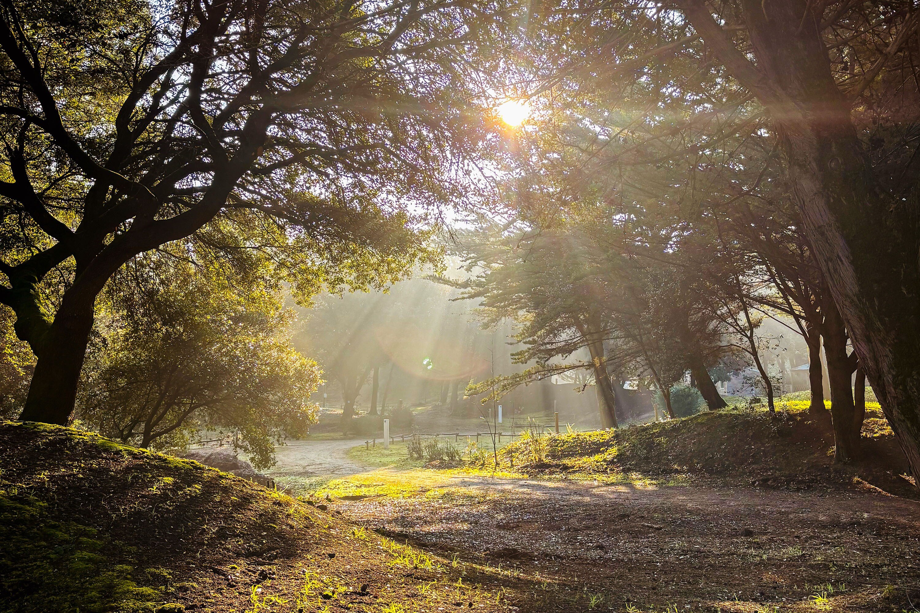 Camping Demoiselles Plage