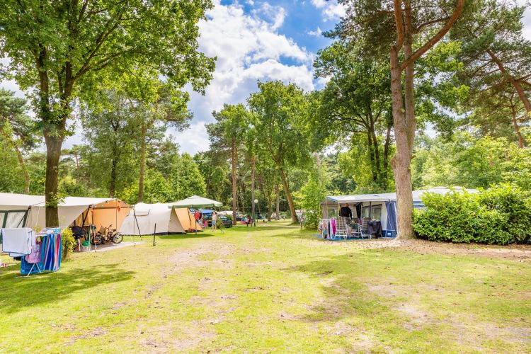 Ardoer cp. & bungalowpark De Haeghehorst