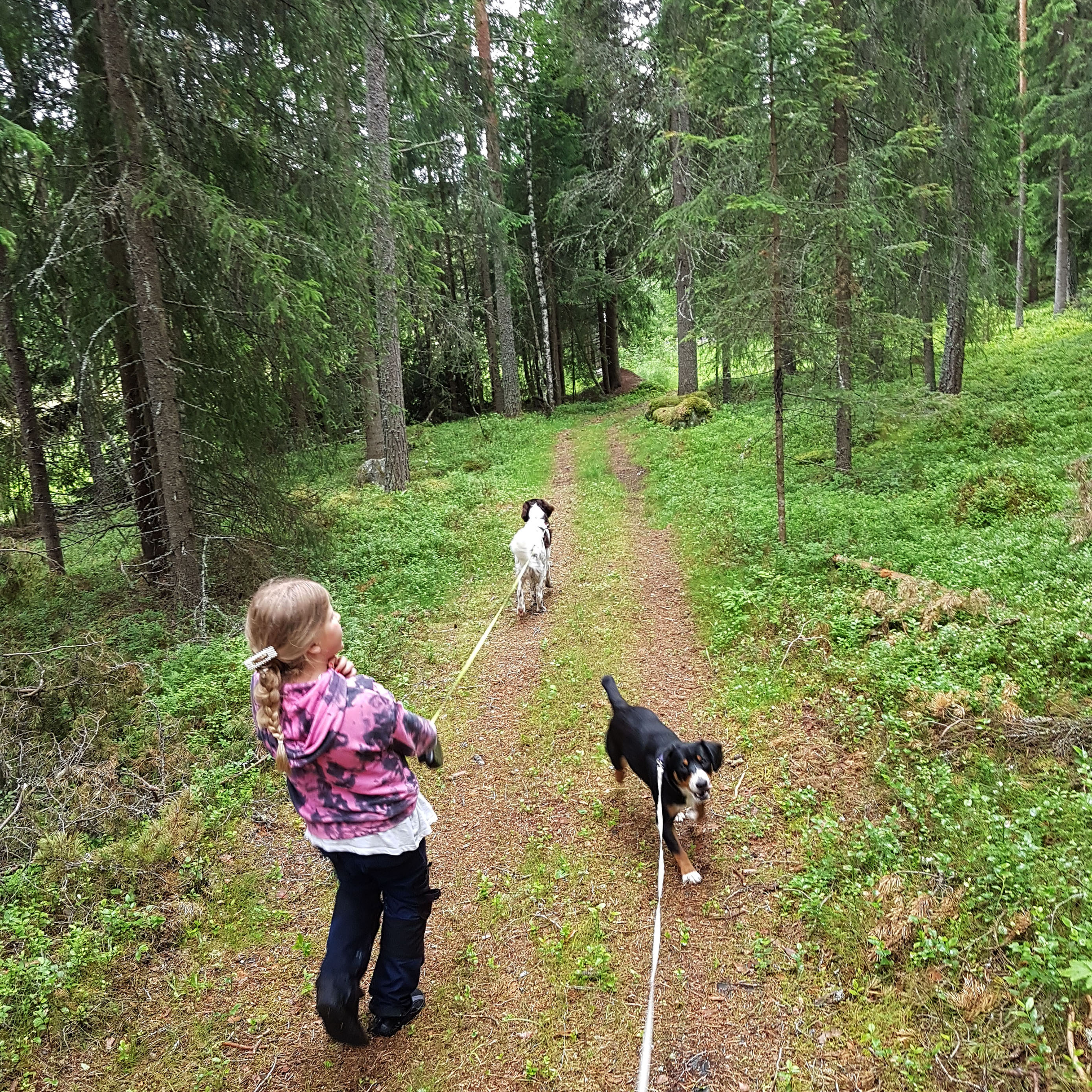 Fossen Camping Fagernes