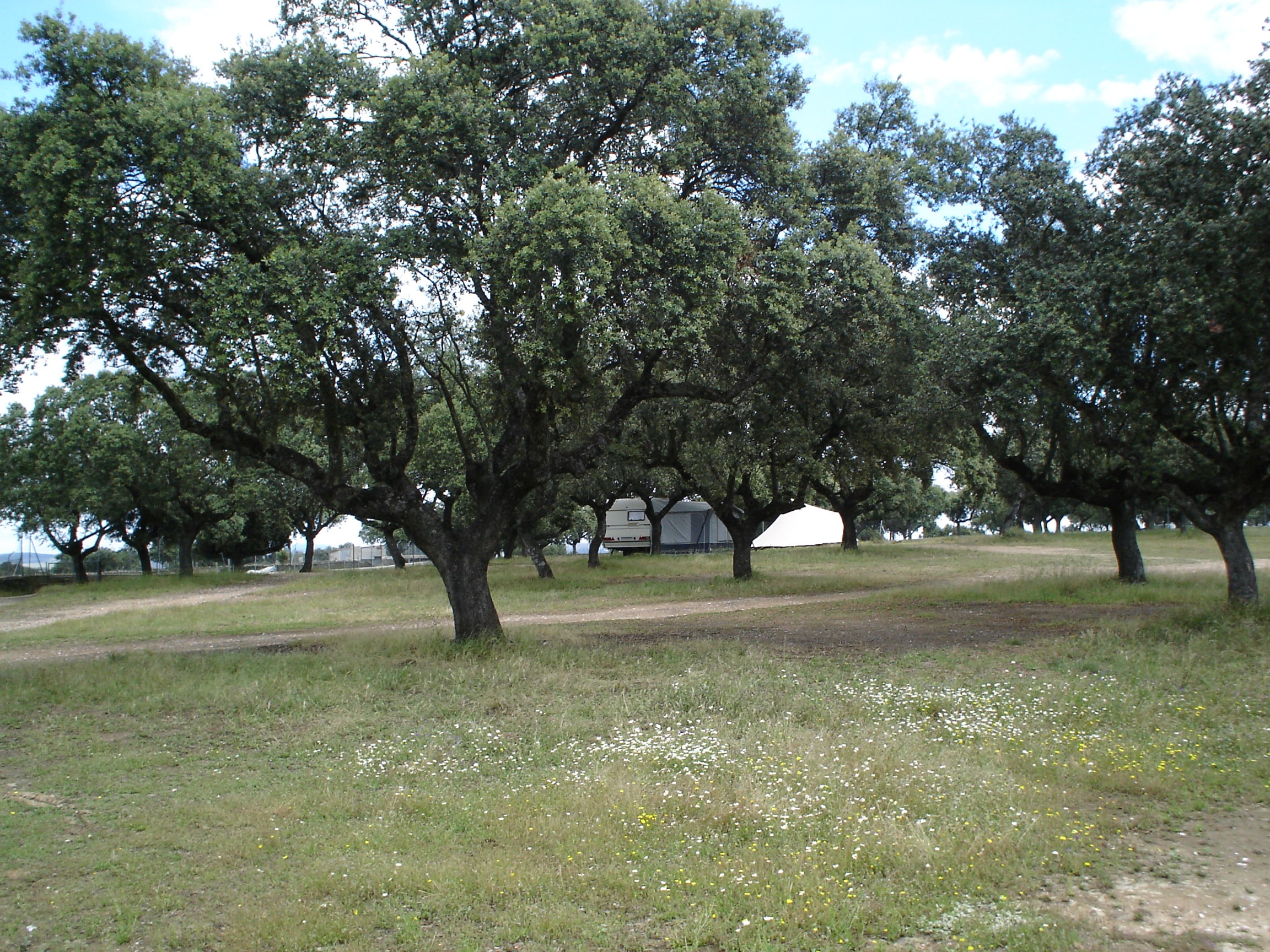 Camping Parque Nacional de Monfragüe