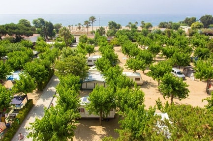 Camping Bellsol