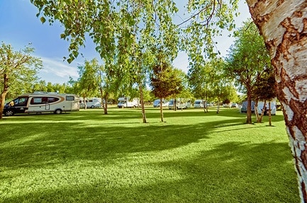 Camping Lesny Nr. 51