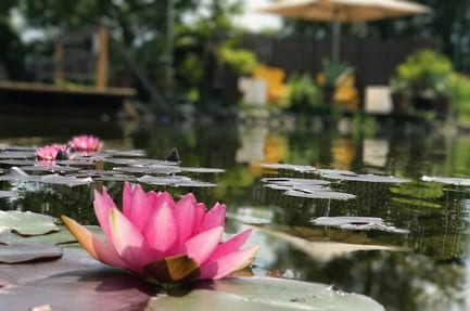 50plus Campingpark Fisching