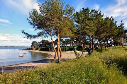 Camping L'Oasis