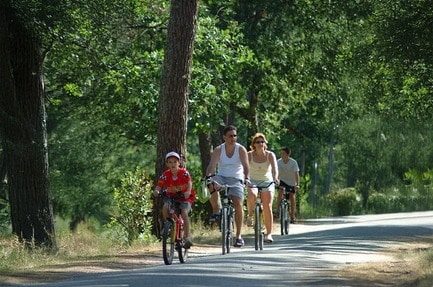 Flower Camping Les Granges