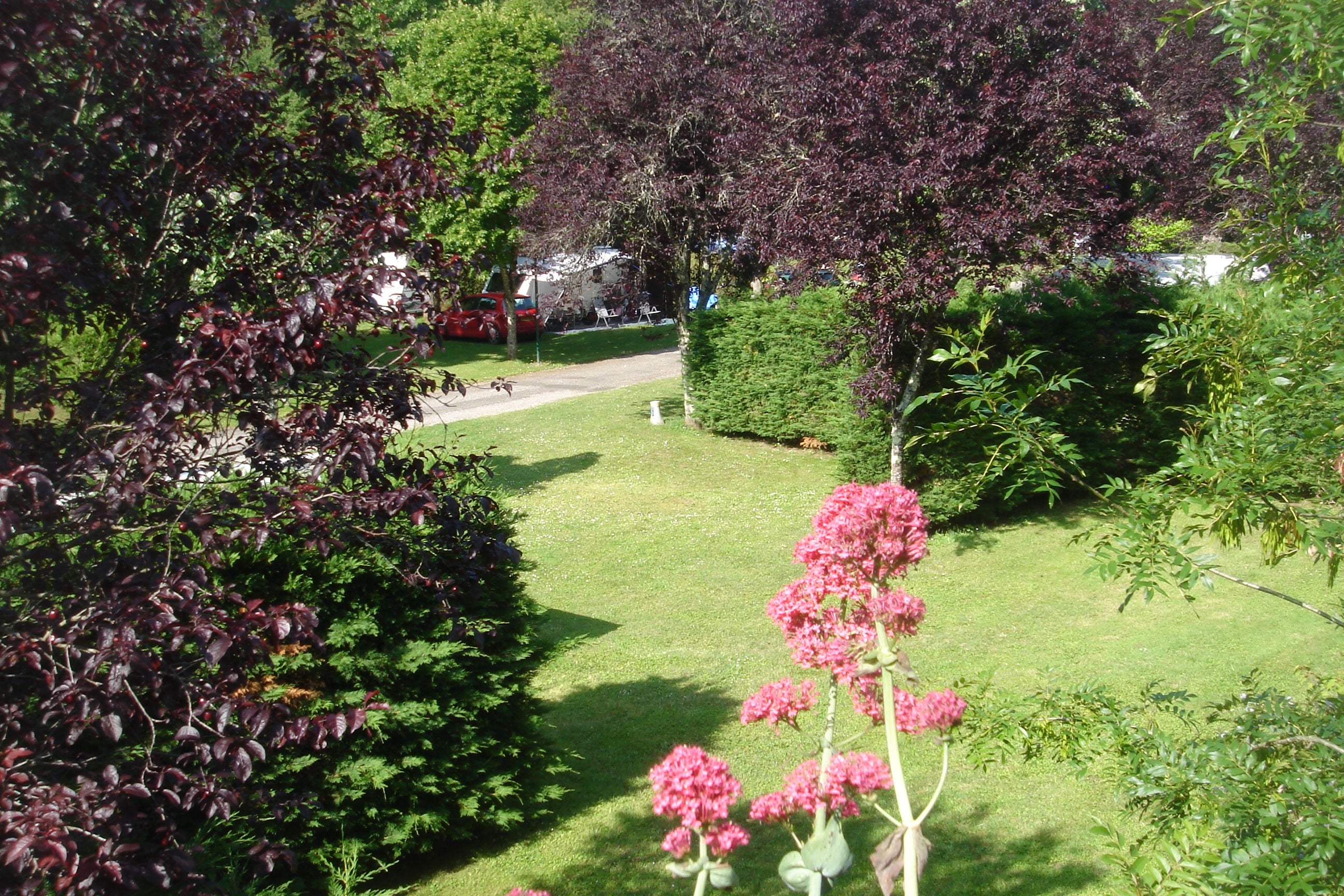 Camping De la Bonnette afbeelding 2