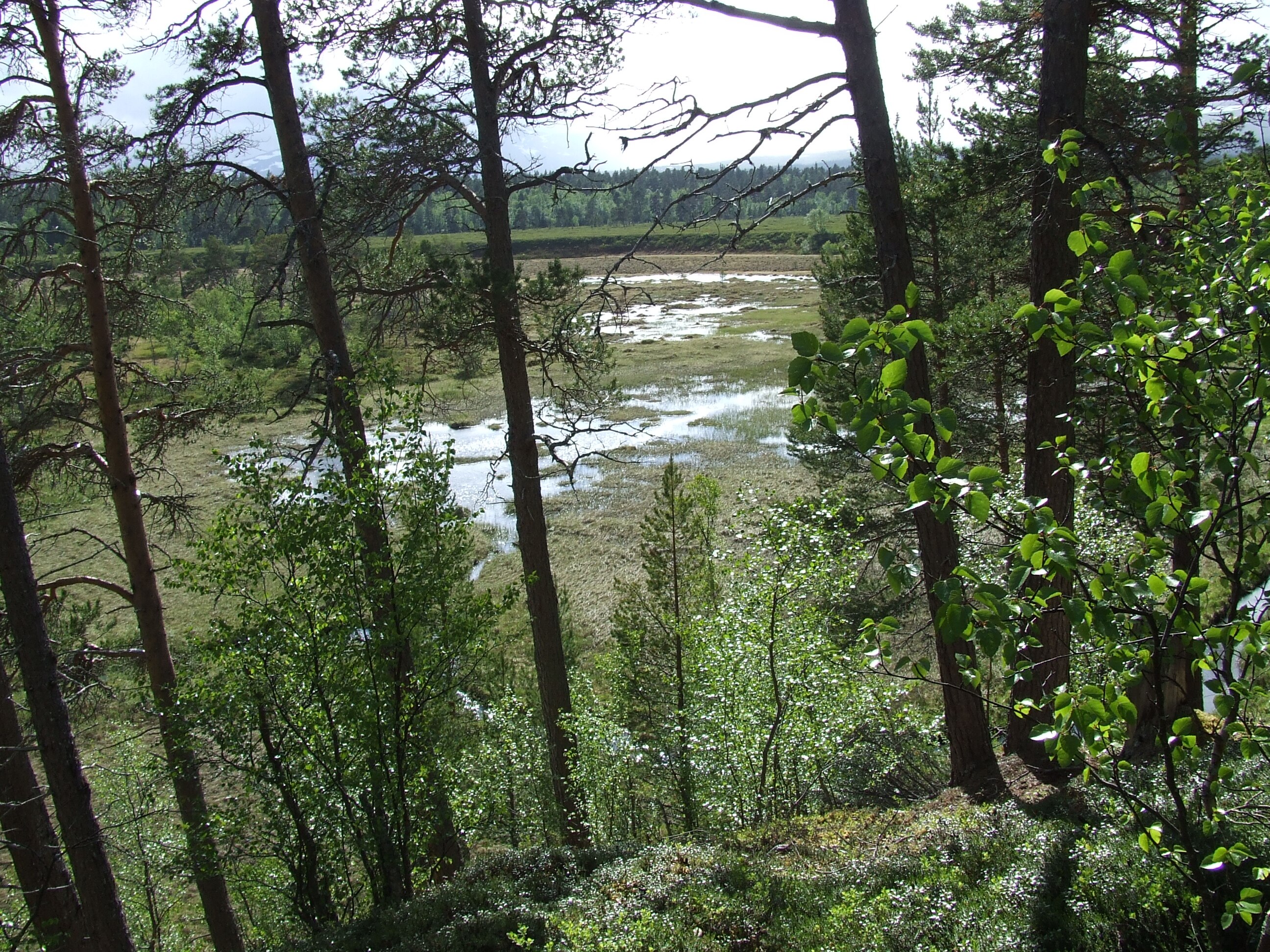 Camping Vålågården