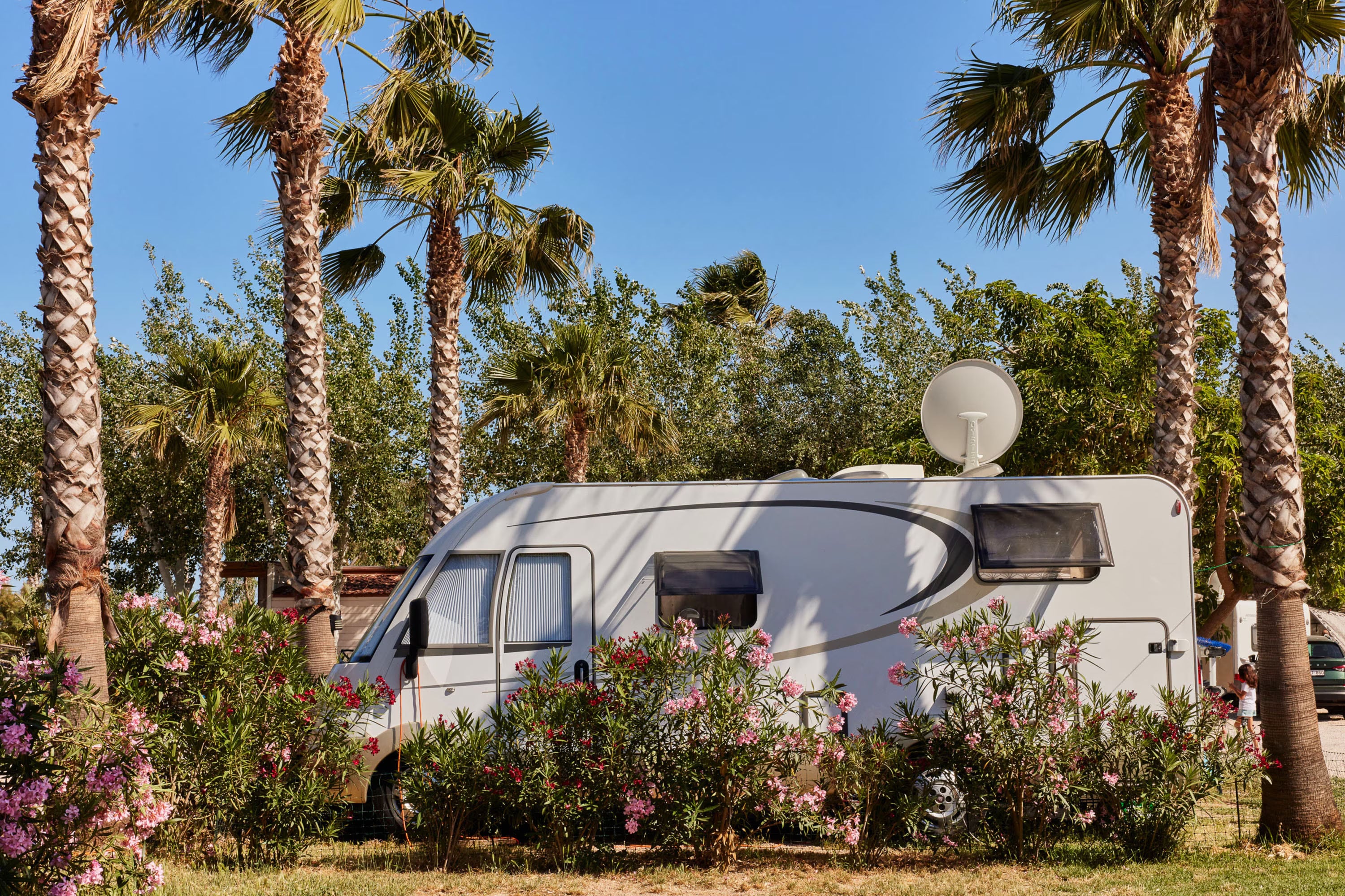 TAIGA Delta de l'Ebre afbeelding 2