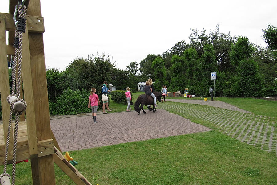 Minicamping Hoekvliet