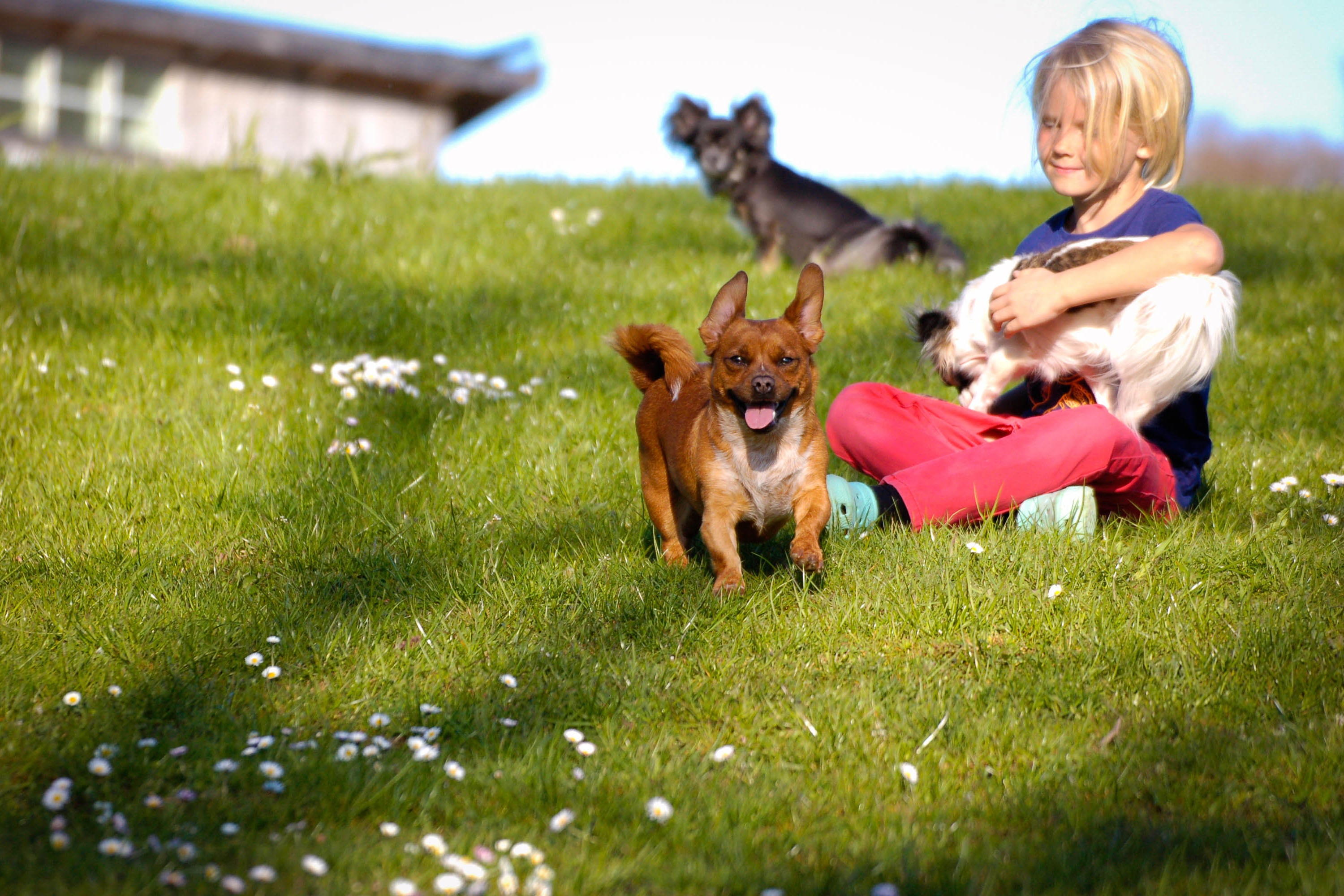 Camping Björsbo Forest & Lake Hideaways