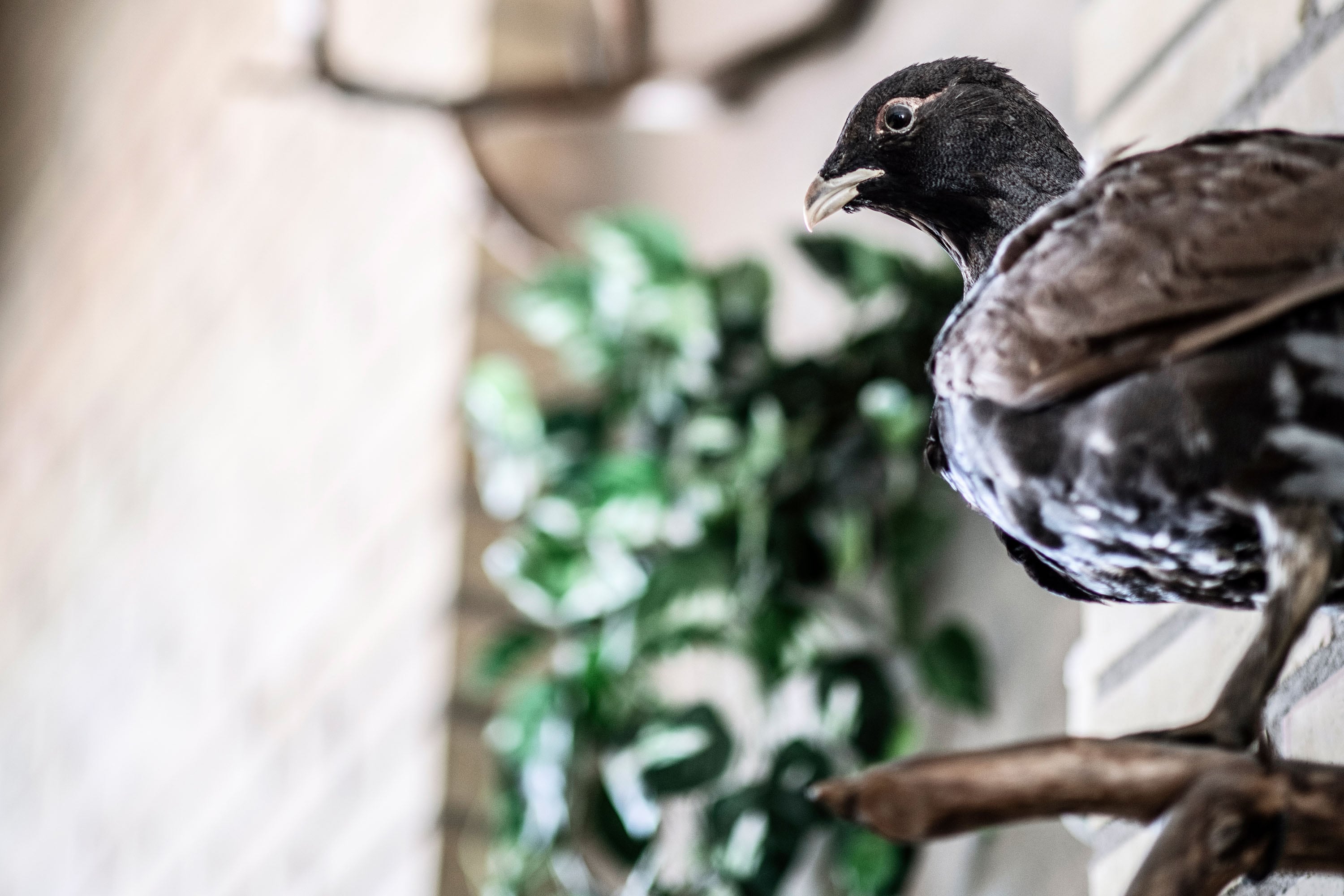 Camping Nederhögen Vildmarkscenter