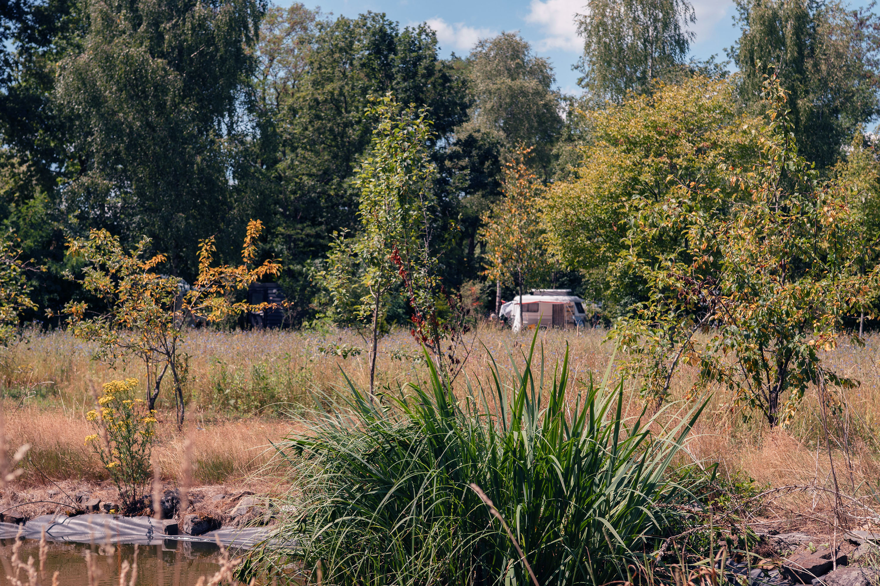 De Negende Zaeligheyt