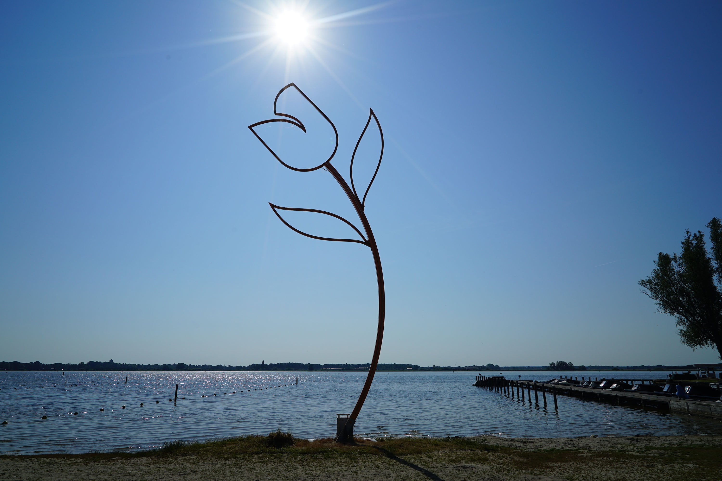 EuroParcs Zuiderzee afbeelding 2