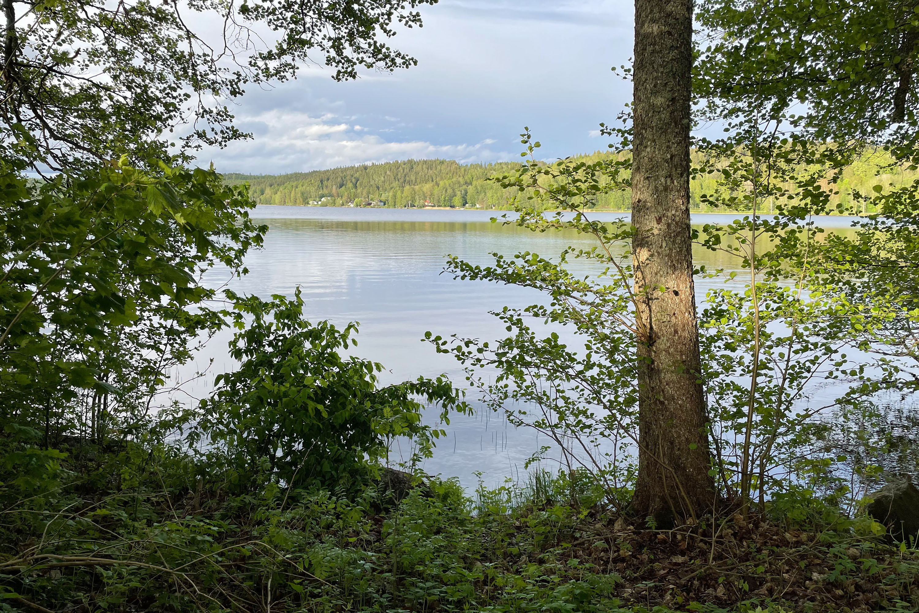 Degernäs Camping