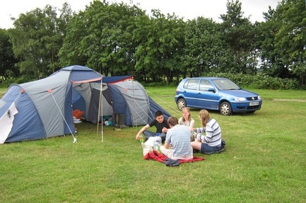 Holmsley Camping in the Forest
