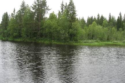 Jyrkkäkoski Camping