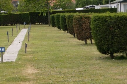 Camping Hoek van Holland