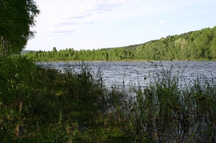 Koppang Camping & Hytteutleie