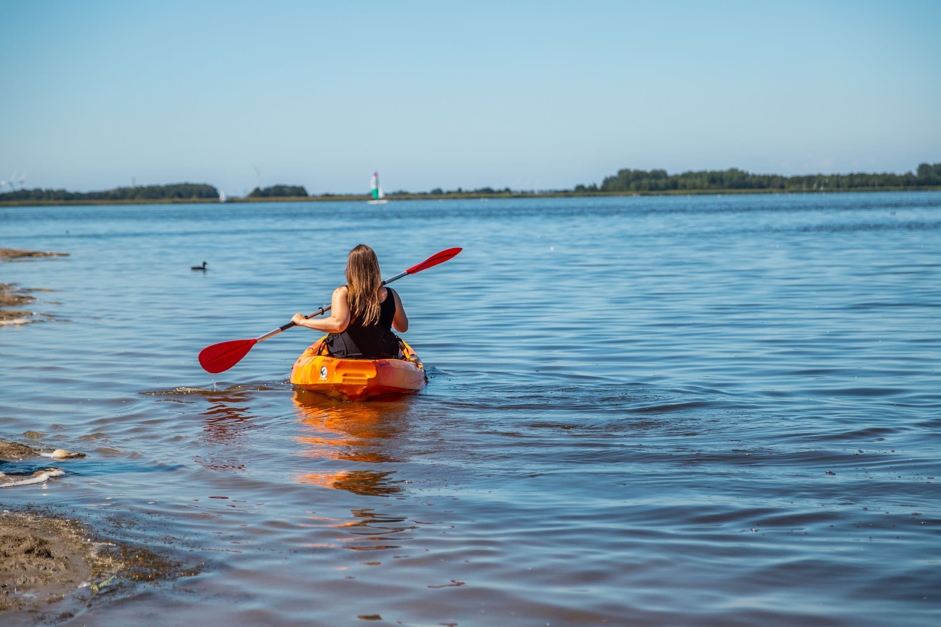 EuroParcs Bad Hoophuizen