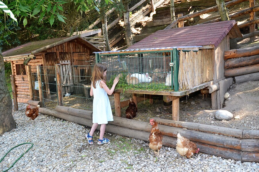 Aktiv-Camp-Purgstall