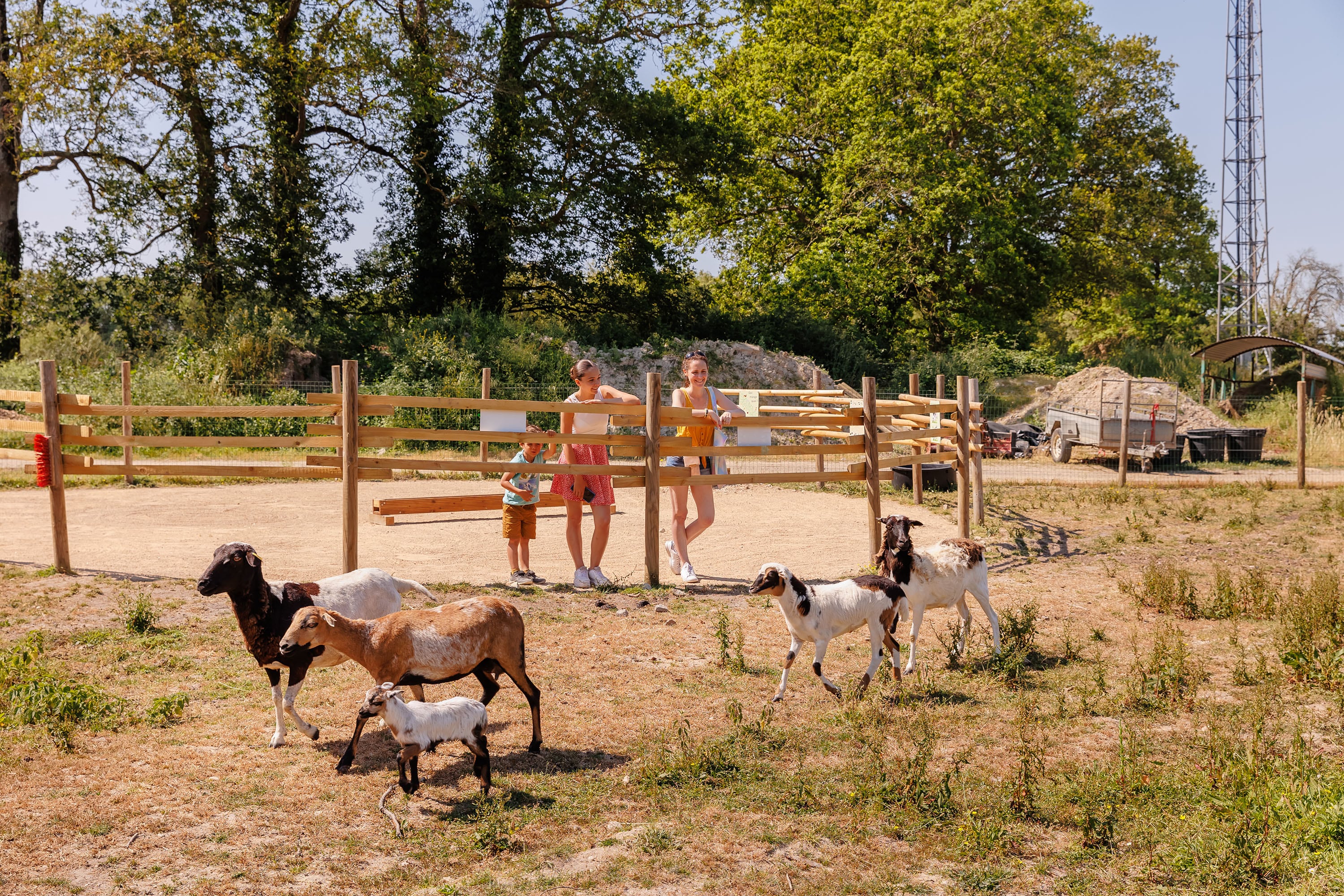 Camping Le Bois Joli afbeelding 2