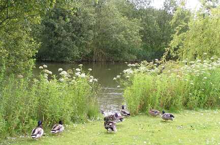 Broadmeadow Caravan Park