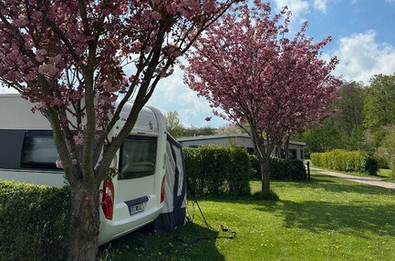 Naldmose Strand Camping