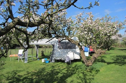 Camping In het Fruit