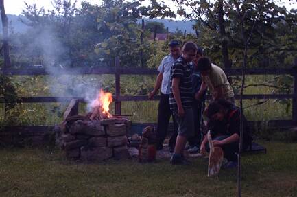 Camping De Oude Wilg