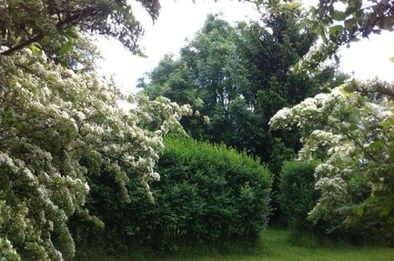 Camping Aux Prés d'Ecouves