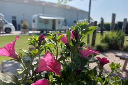 Minicamping de Vlaschaard