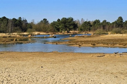 Camping De Runsvoort