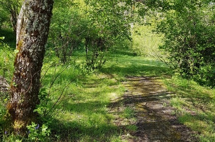 Aire Naturelle Lissart de Miège