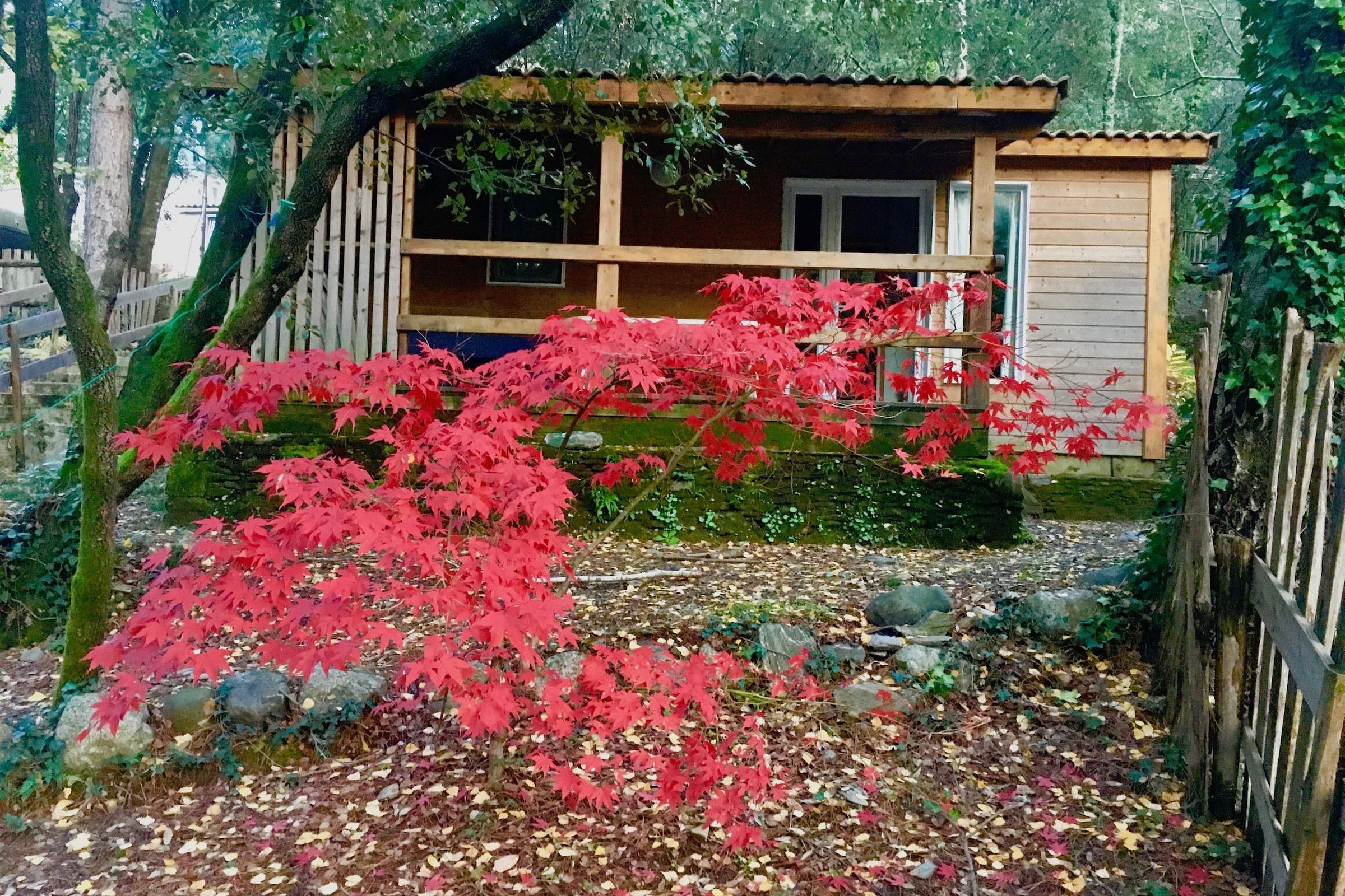 Camping La Corconne afbeelding 2