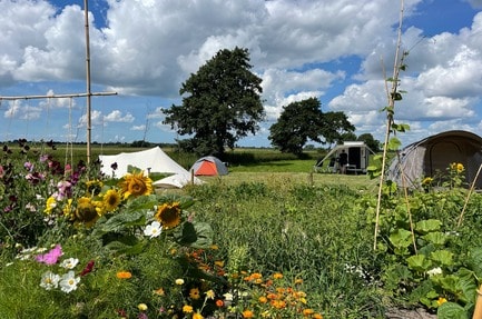 Camping De Frije Fries