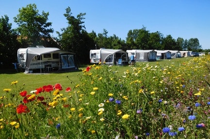 Camping De Westert