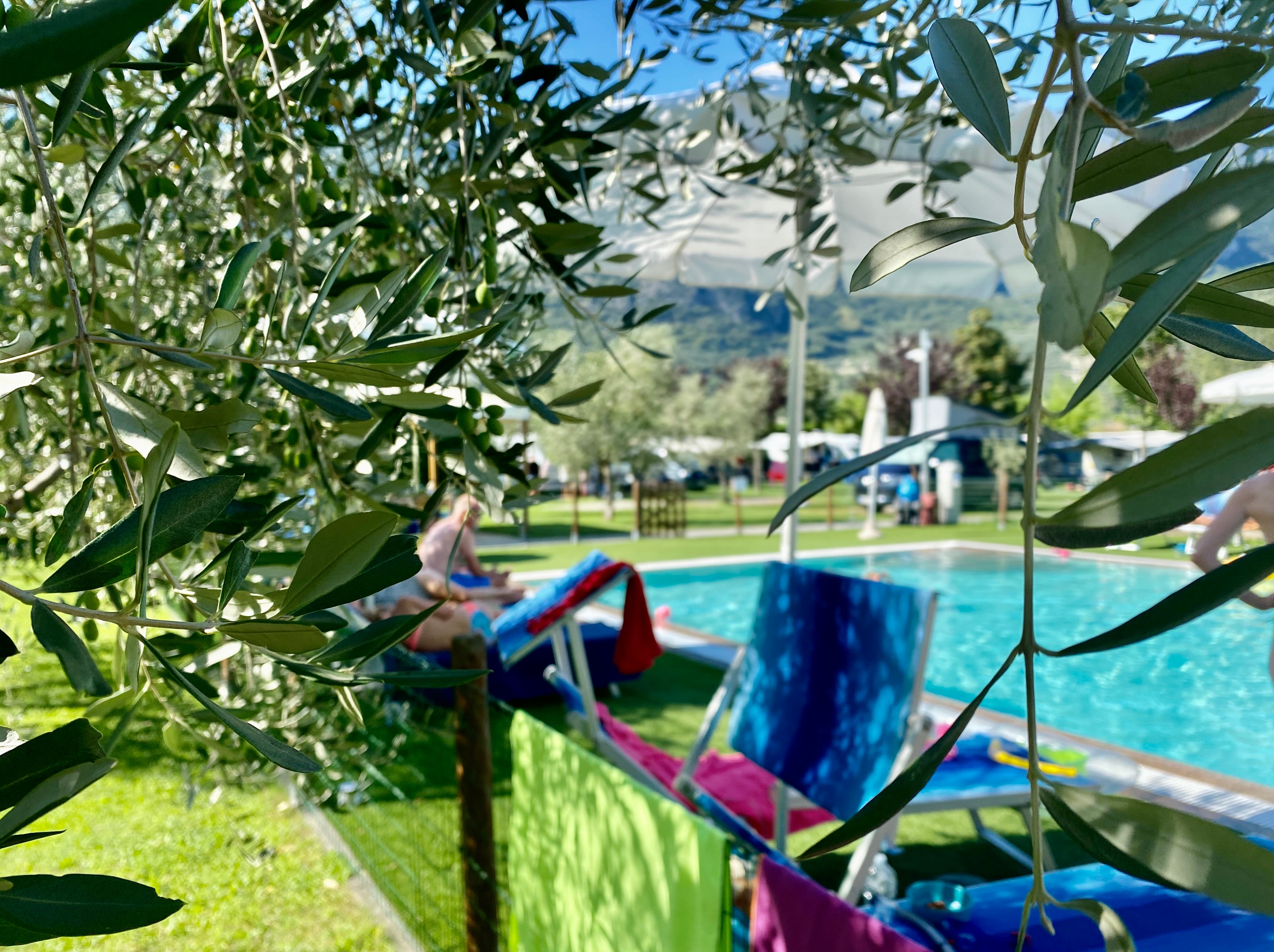 AB&C Arco bed and camping