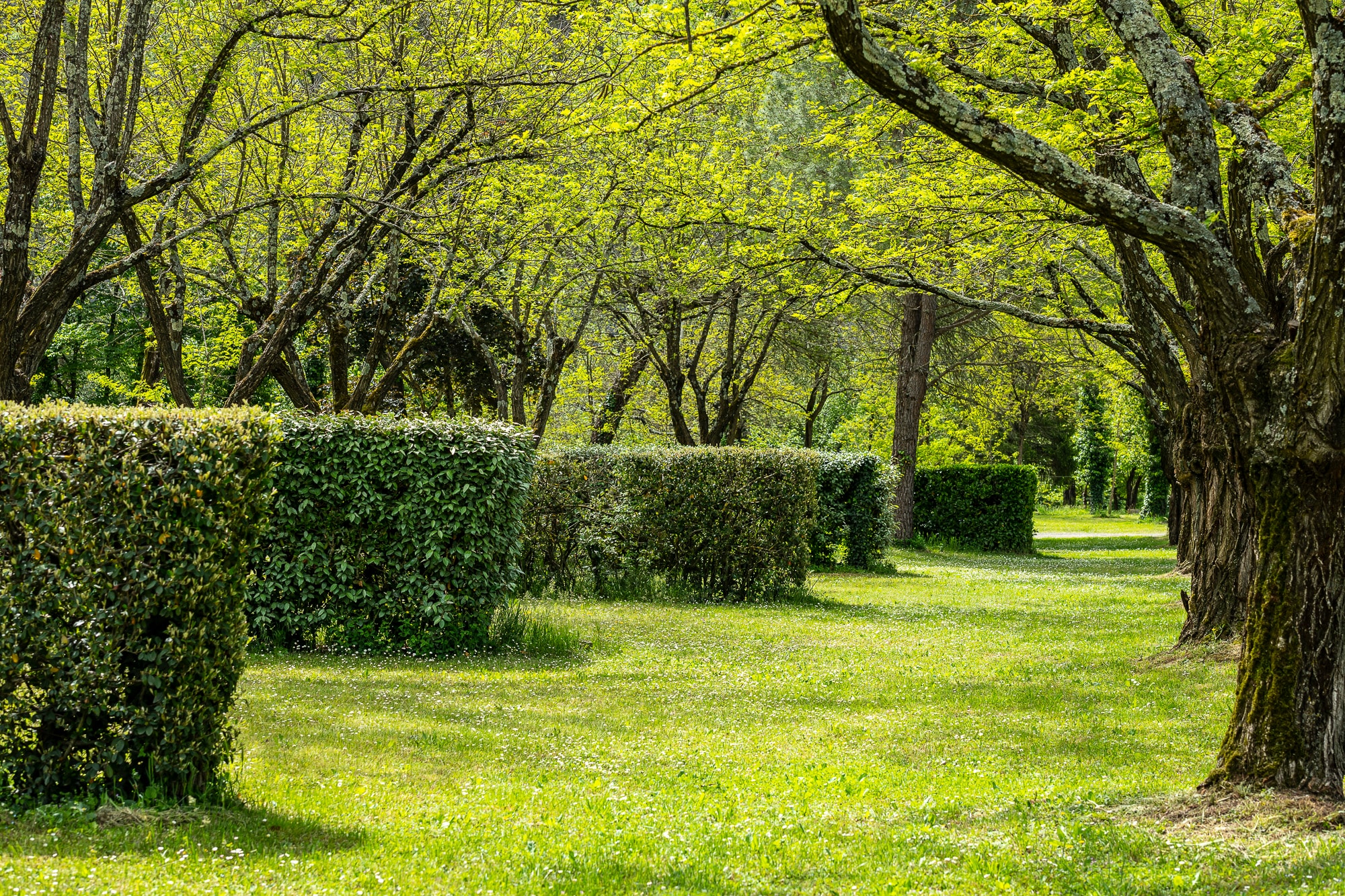 Village Nature Zen afbeelding 2