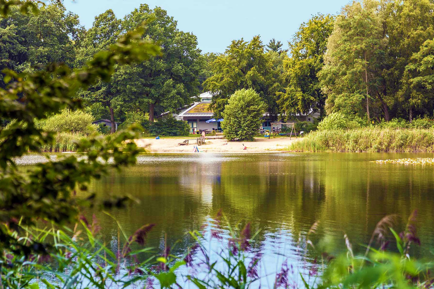 NaturistenCamp Sonnensee des BffL Hannover e. V..