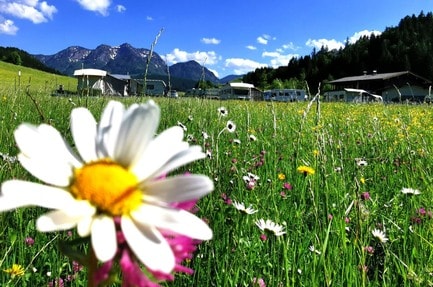 Camping Maurerhaeusl