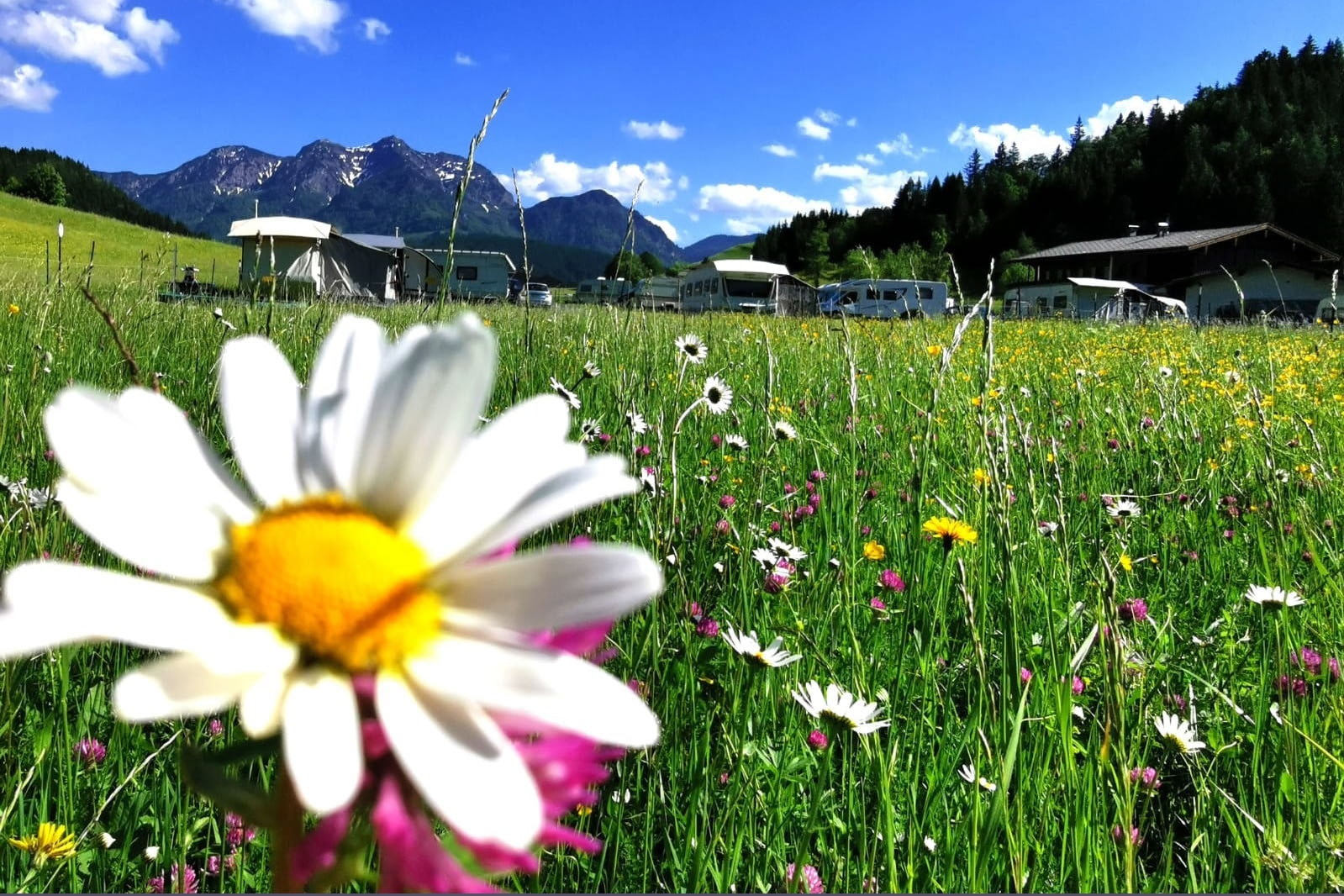 Camping Maurerhaeusl