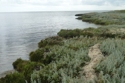 Camping Nature Ferie