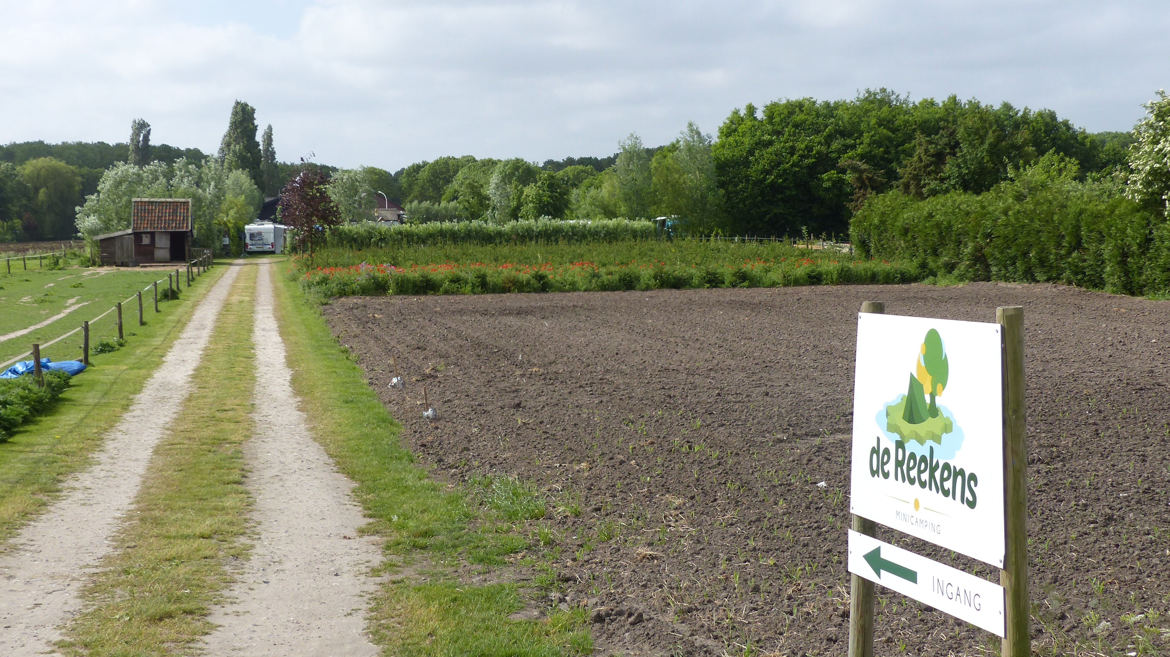 Minicamping de Reekens