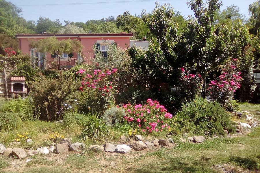 Agricamping Oasi del Belvivere