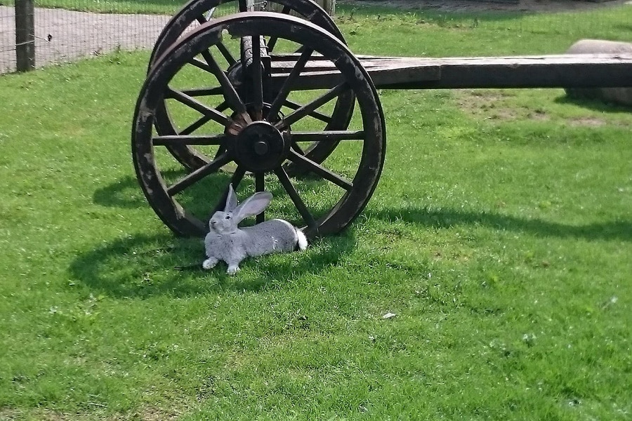 Camping Het Scholtemeijer