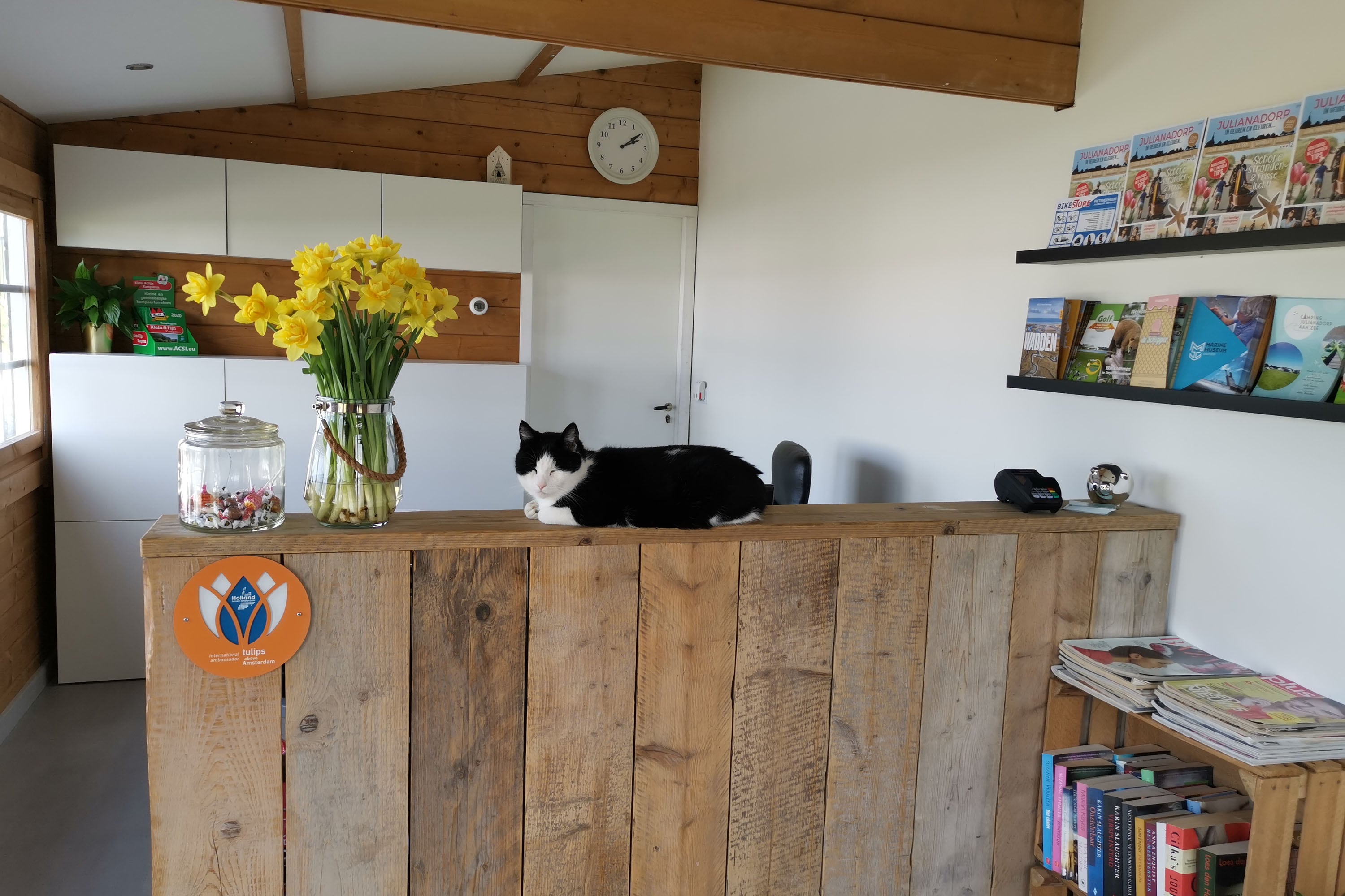 Camping Julianadorp Aan Zee