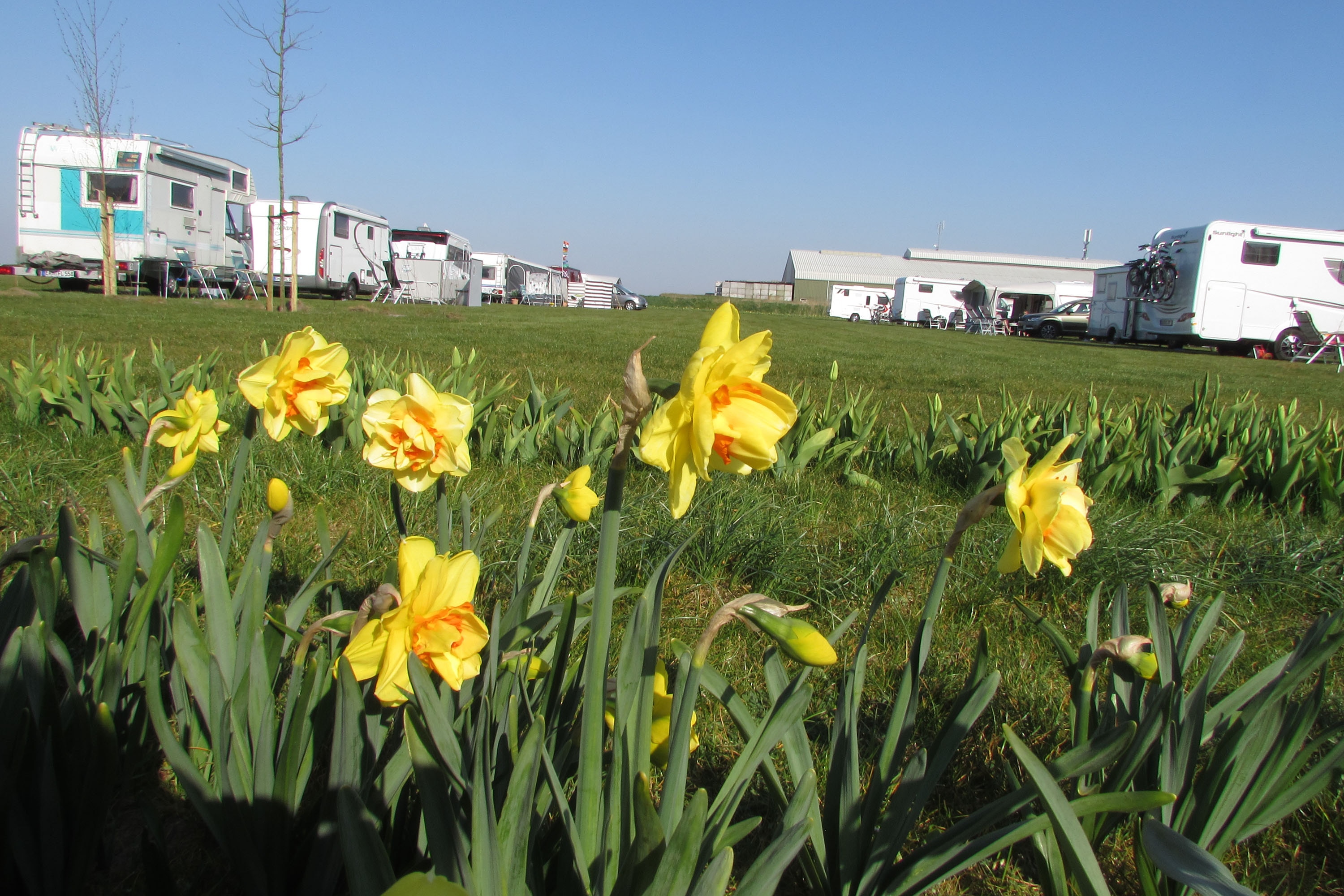Camping Julianadorp Aan Zee