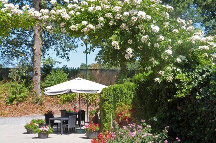 Bloemencamping de Hazenakker