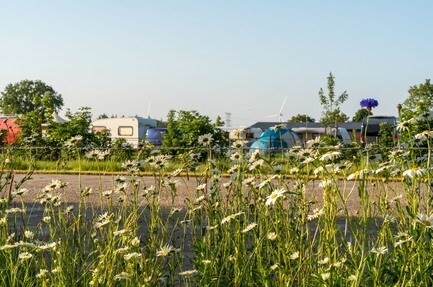 Minicamping Oisterwijk